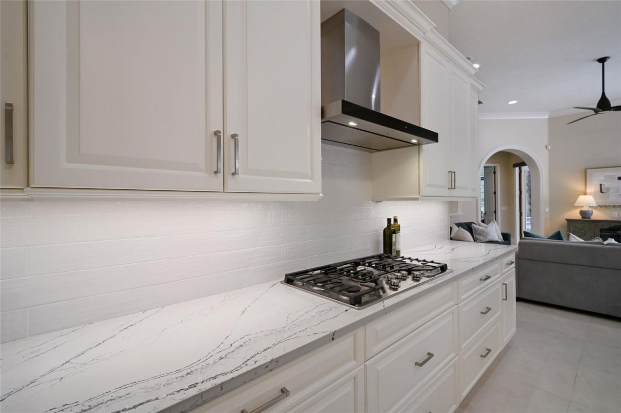 13223 Palmers Creek Terrace, Lakewood Ranch, FL 34202 Photo