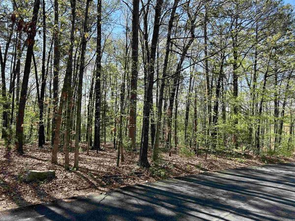 000 Wildwood Drive , Mountain View, AR 72560