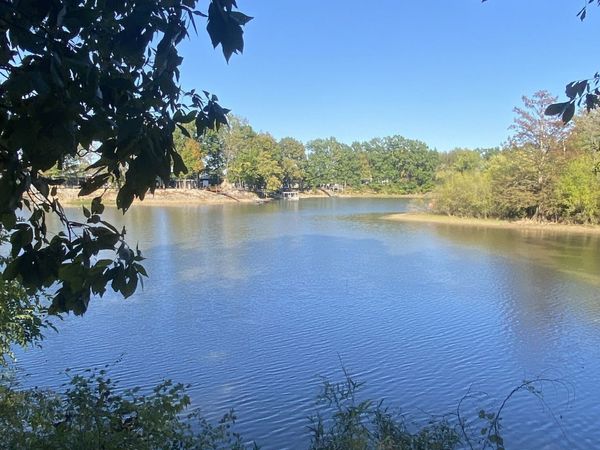 442 Duck Blind Rd , Clifton, TN 38425