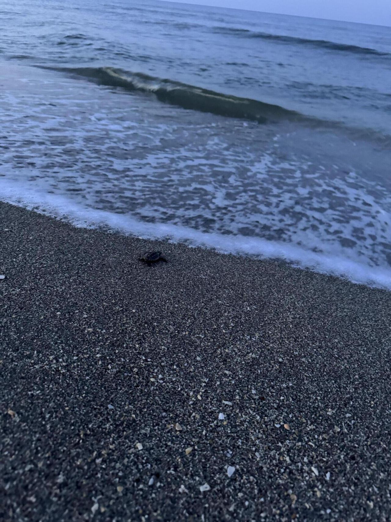 8323 SE Croft Circle, Unit N9, Hobe Sound, FL 33455 Photo