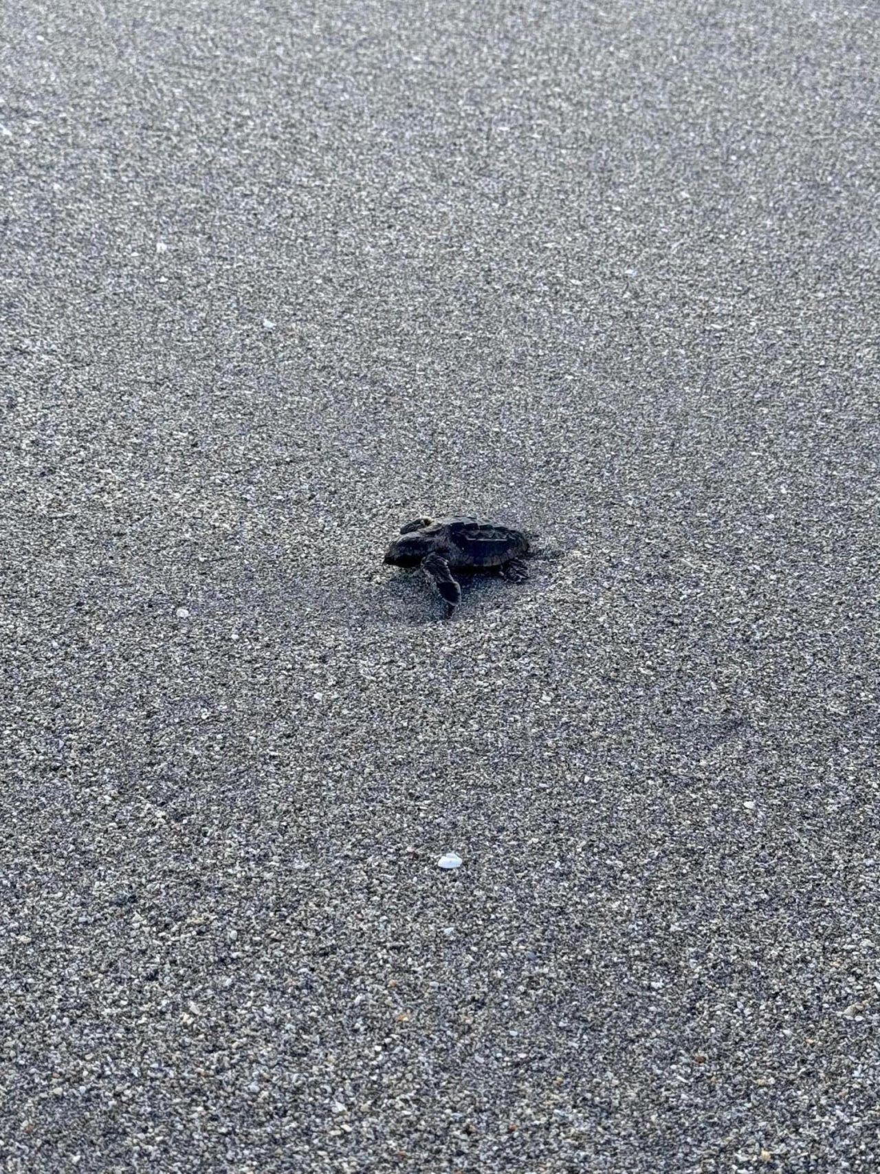 8323 SE Croft Circle, Unit N9, Hobe Sound, FL 33455 Photo