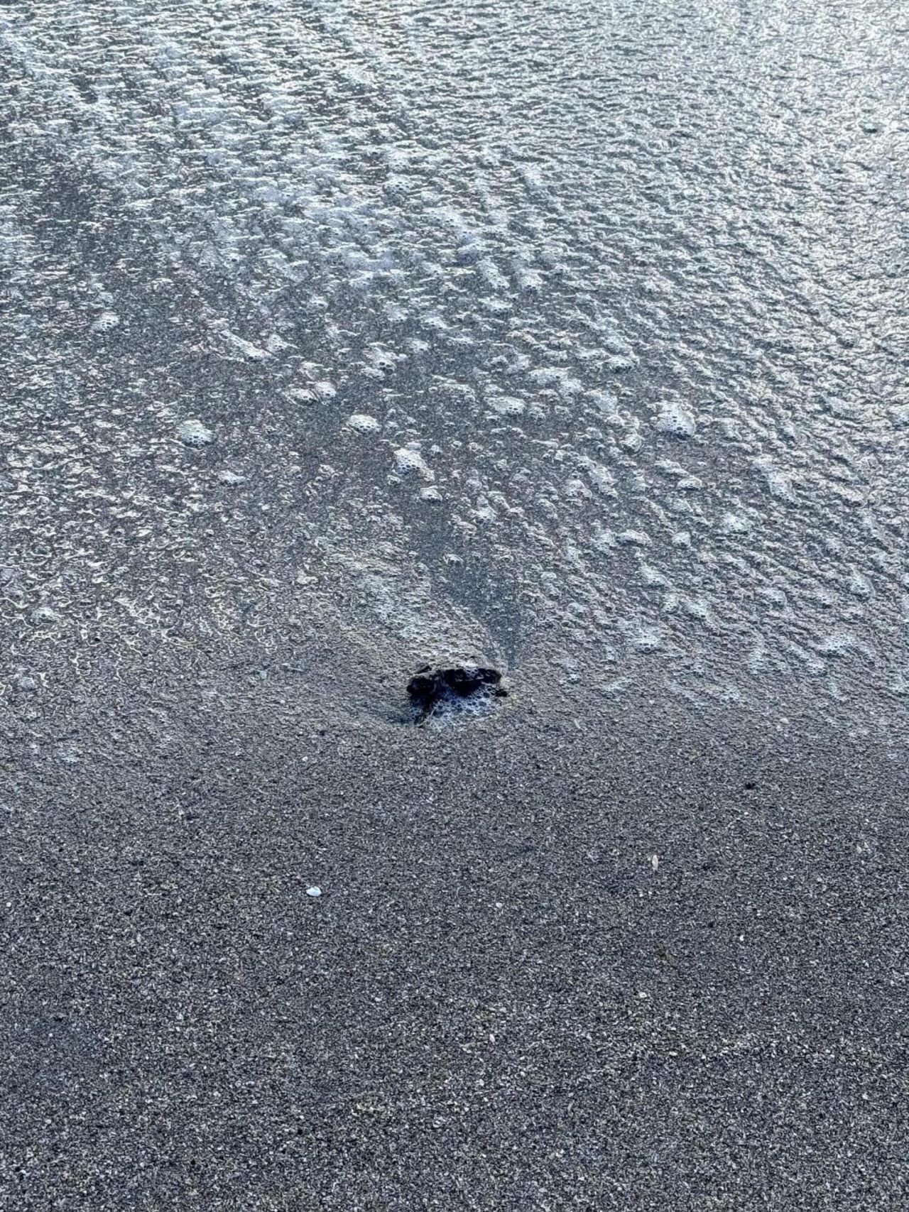 8323 SE Croft Circle, Unit N9, Hobe Sound, FL 33455 Photo