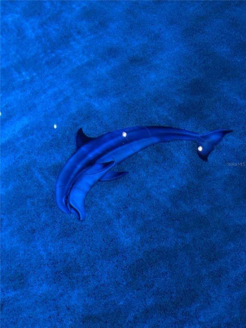 15531 Trinity Fall Way, Bradenton, FL 34212 Photo