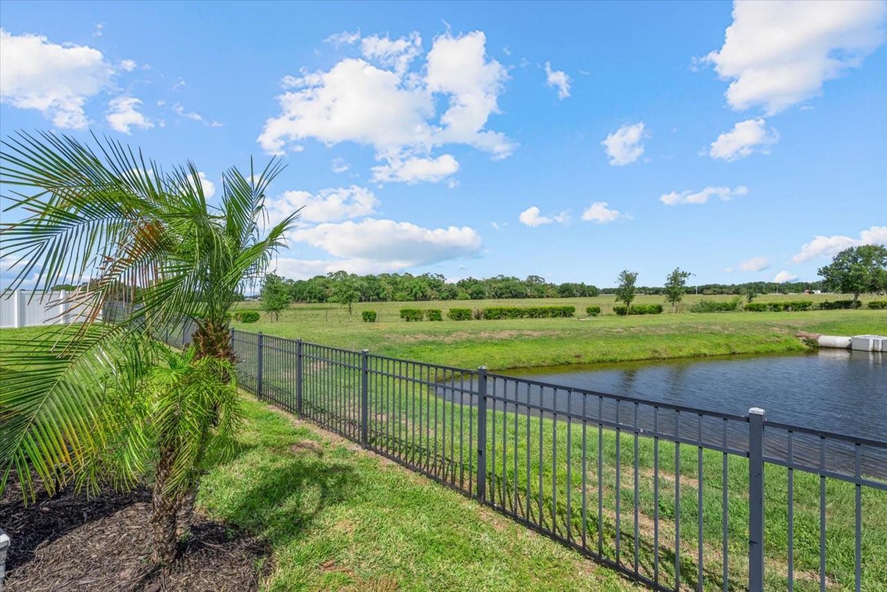 15531 Trinity Fall Way, Bradenton, FL 34212 Photo