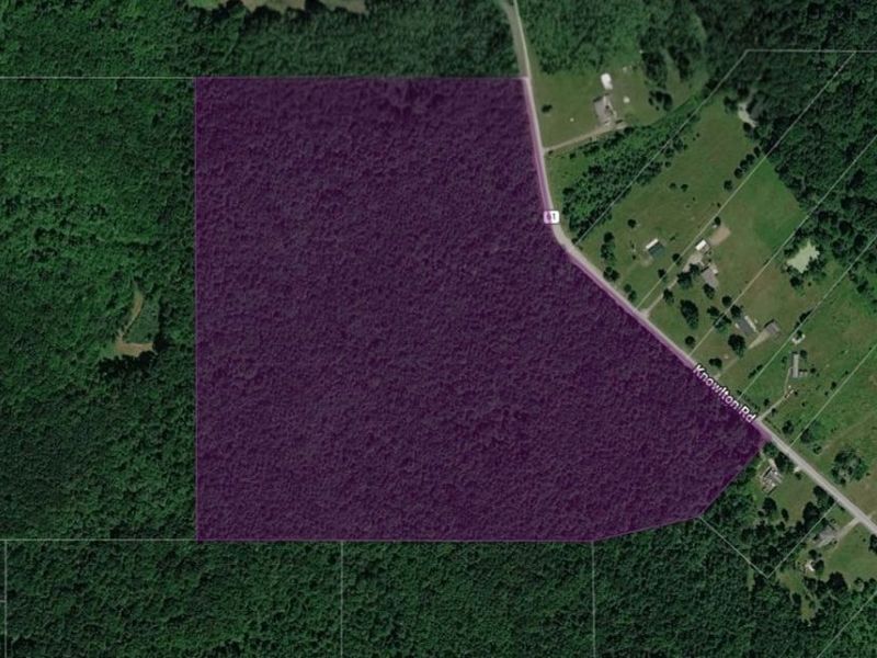 Knowlton Road , Rock Creek, OH 44084 Photo 7