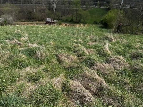 694 Egypt Road, Bluff City, TN 37618