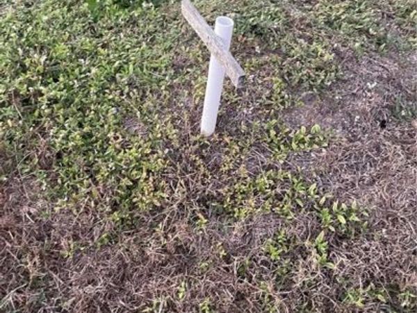 500 SE 31st TER, CAPE CORAL, FL 33904