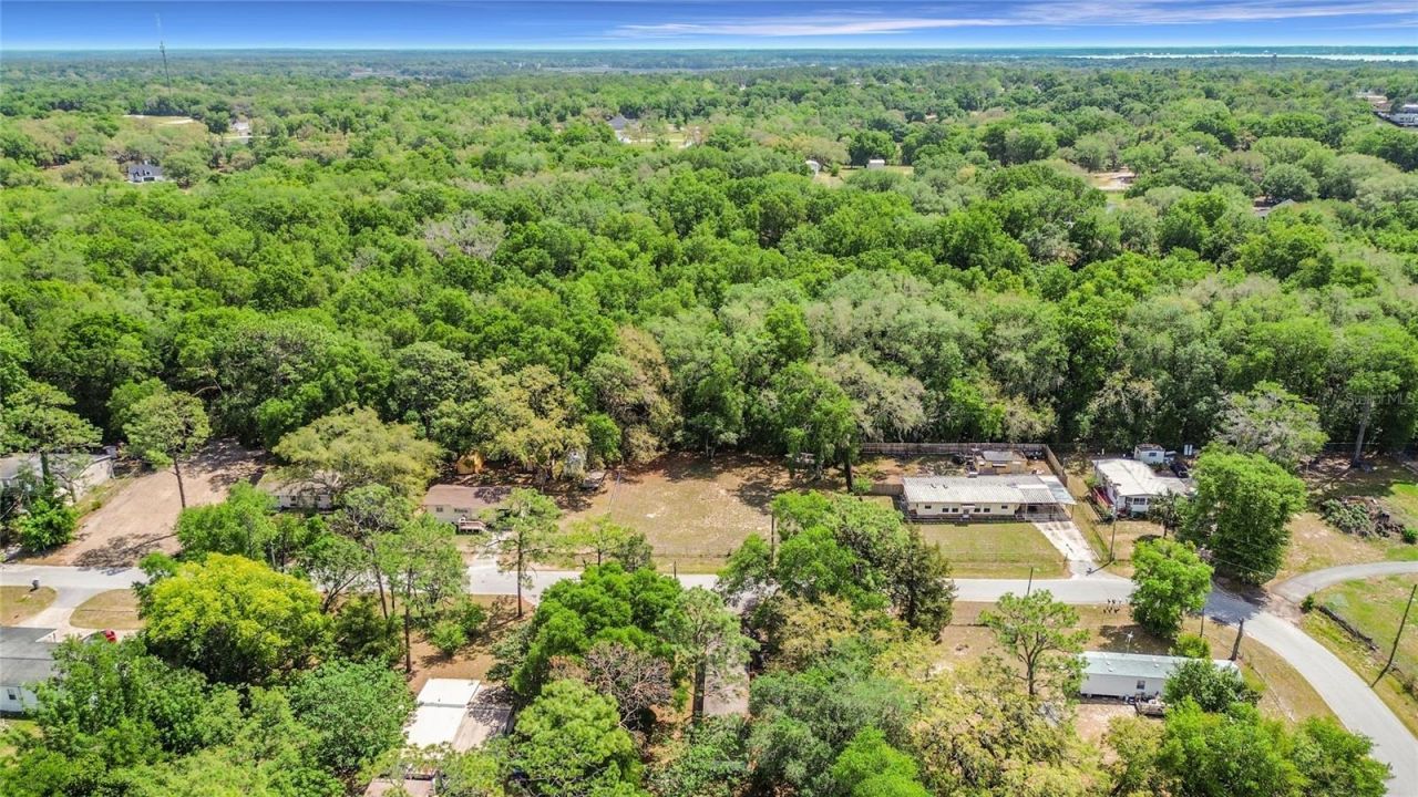 11946 SE 99th Terrace, Belleview, FL 34420 Photo