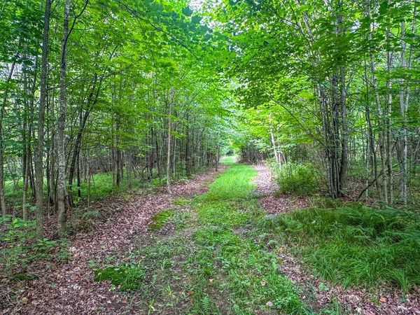 93.89A on KUNDINGER ROAD, Park Falls, WI 54552