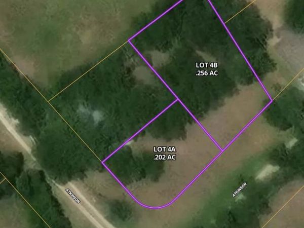 LOT 4A Atkinson Street, Blooming Grove, TX 76626