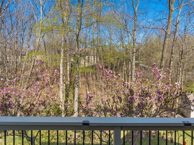 7441 Cody Lane, Delaware, OH 43015 Photo 49