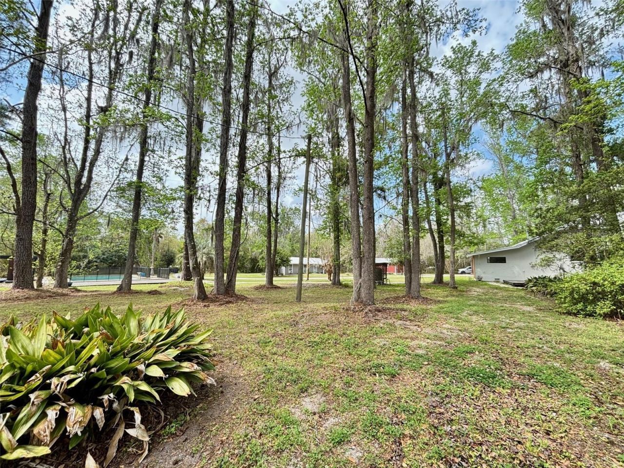18917 NW County Road 239, Alachua, FL 32615 Photo