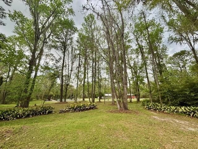 18917 NW County Road 239, Alachua, FL 32615 Photo