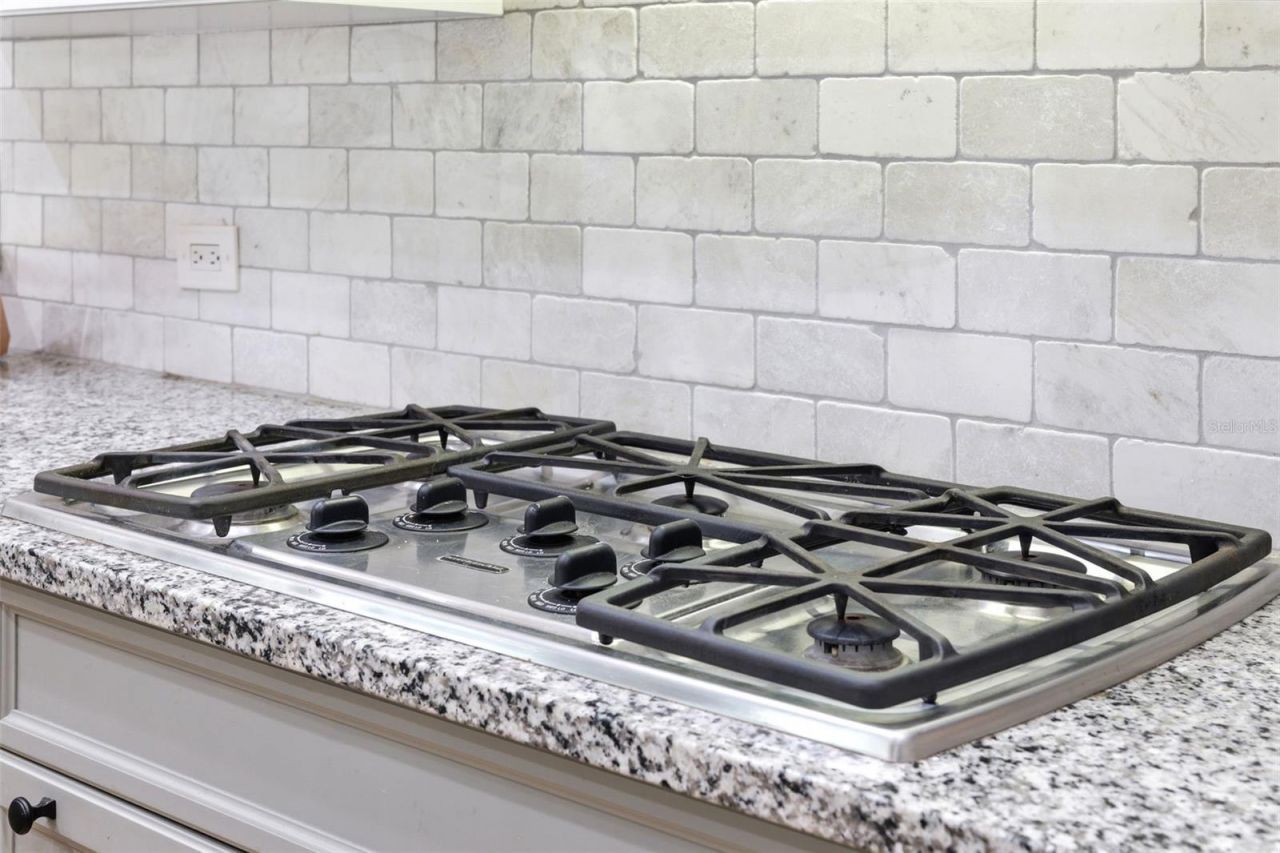 19708 Wellington Manor Boulevard , Lutz, FL 33549 Photo