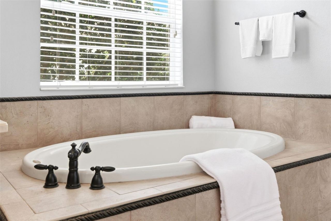 19708 Wellington Manor Boulevard , Lutz, FL 33549 Photo