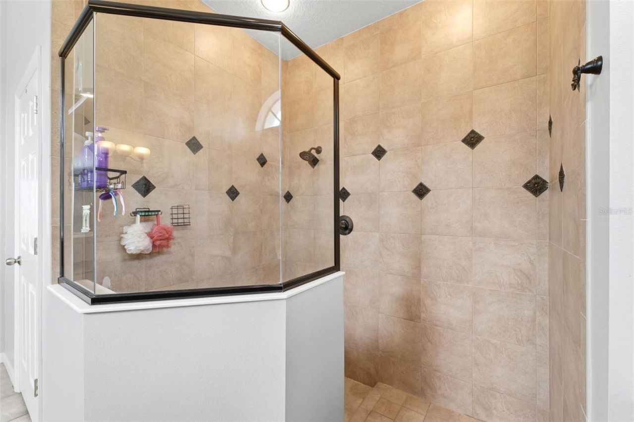 19708 Wellington Manor Boulevard , Lutz, FL 33549 Photo