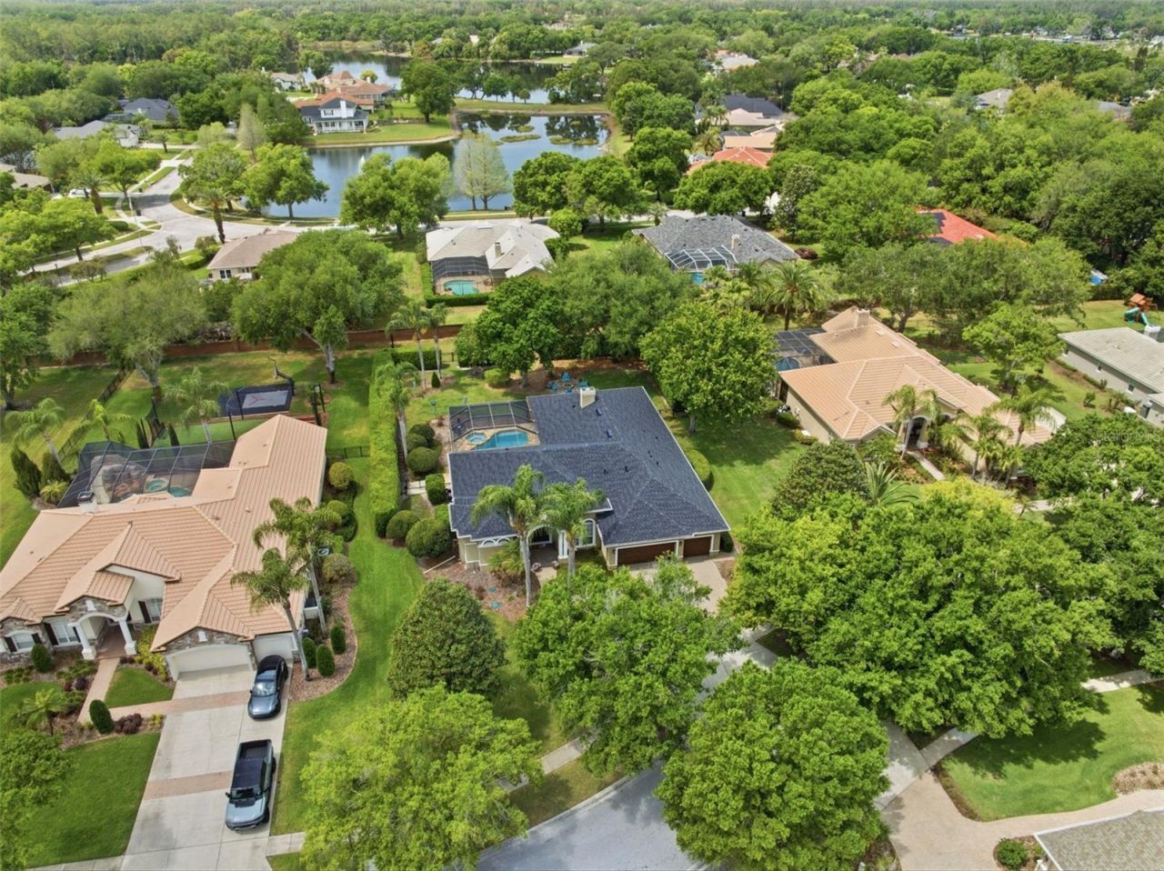 19708 Wellington Manor Boulevard , Lutz, FL 33549 Photo