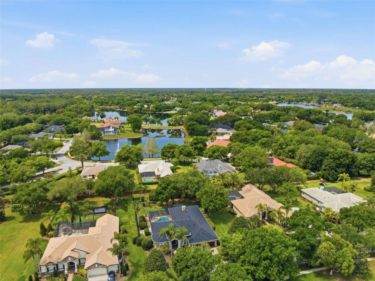 19708 Wellington Manor Boulevard , Lutz, FL 33549 Photo