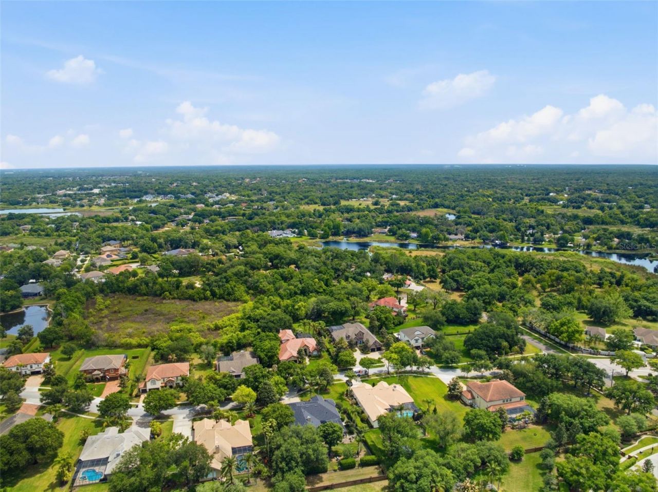 19708 Wellington Manor Boulevard , Lutz, FL 33549 Photo