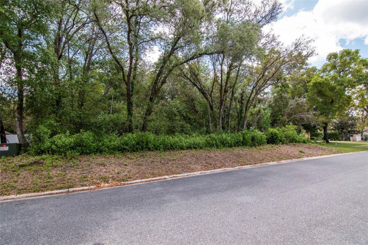 Lot 111 Winding Oaks Boulevard, Hudson, FL 34667 Photo