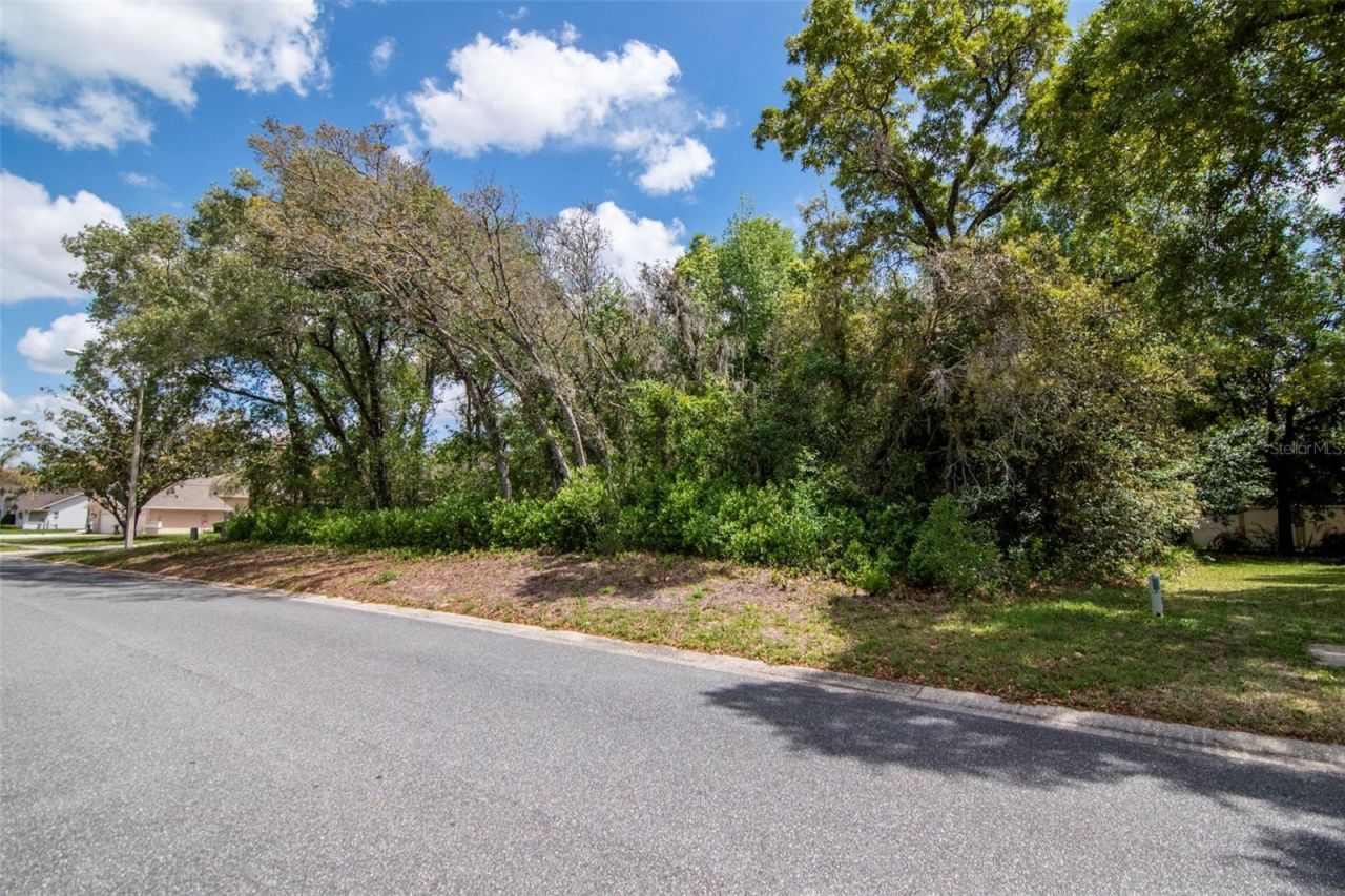 Lot 111 Winding Oaks Boulevard, Hudson, FL 34667 Photo