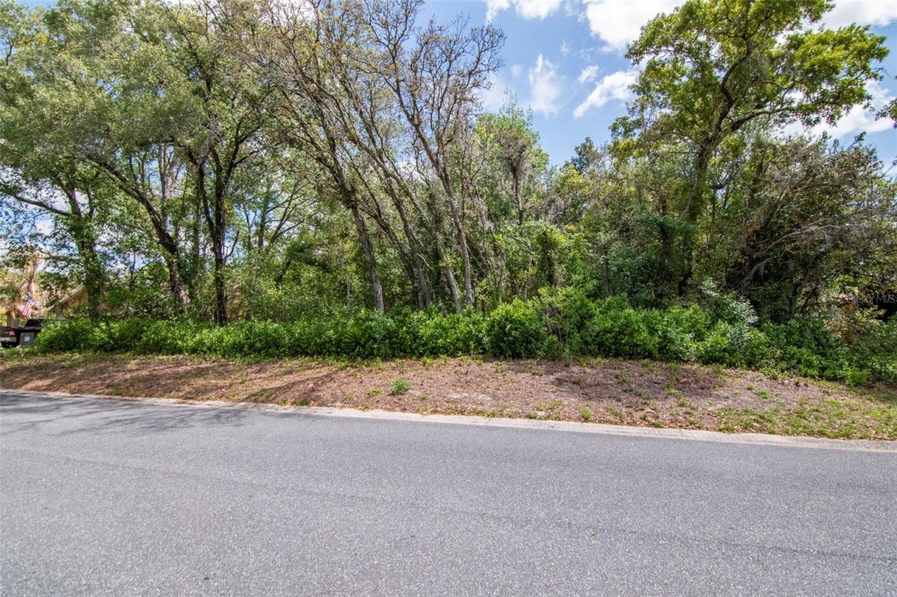 Lot 111 Winding Oaks Boulevard, Hudson, FL 34667 Photo