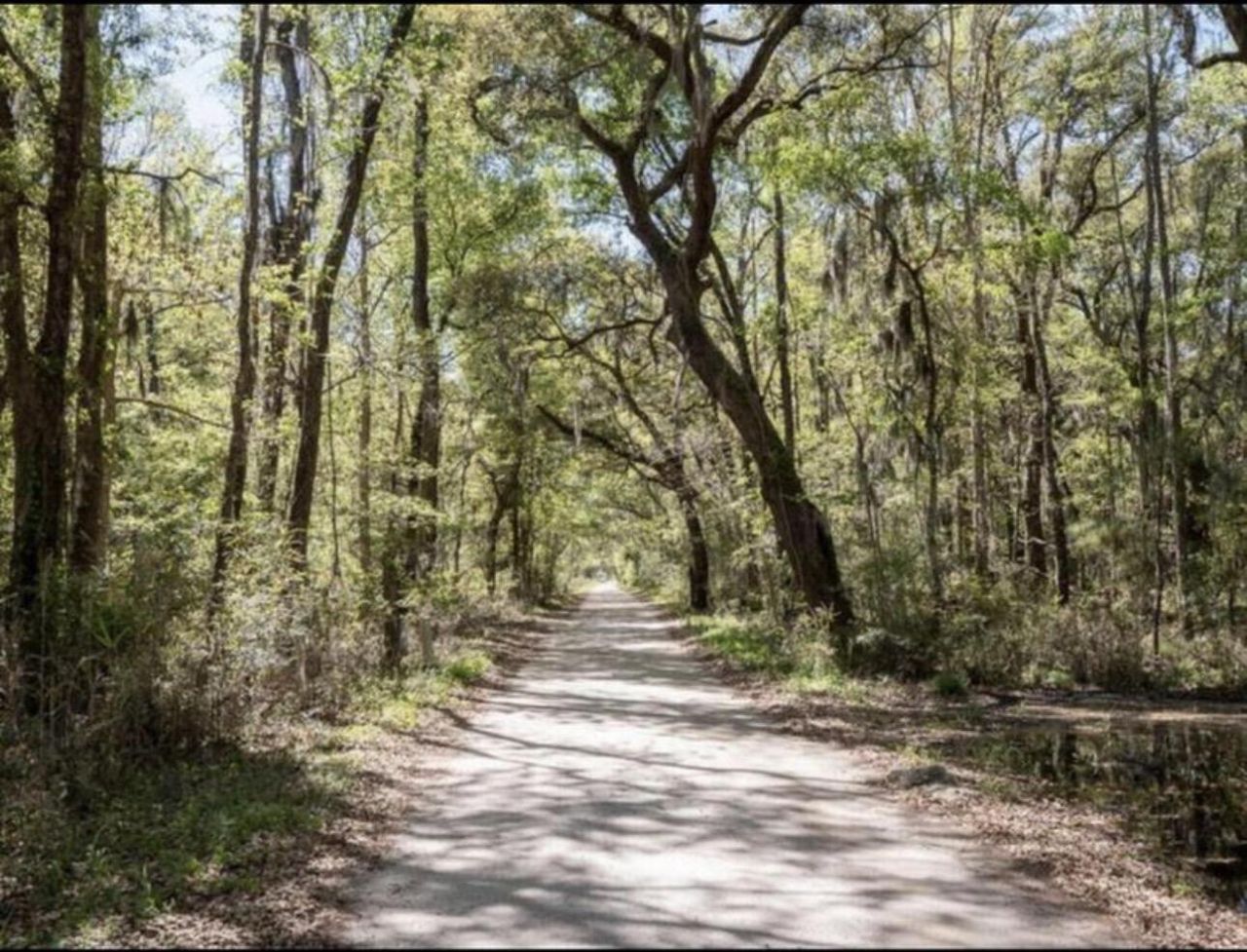 1692 Wharf Ferry Road Photo 54