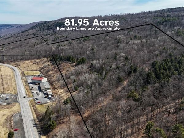 County Highway 56, Schenevus, NY 12116