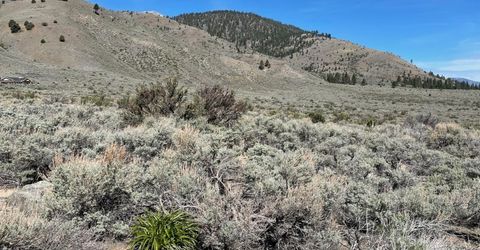 6 Hawkins Peak Road, Markleeville, CA 96120 Photo