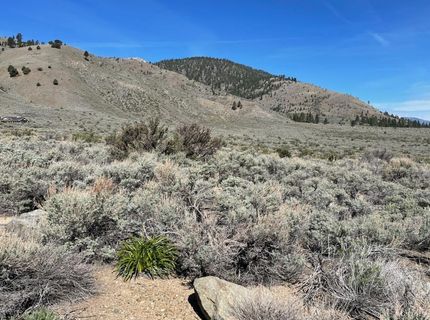 6 Hawkins Peak Road, Markleeville, CA 96120 Photo