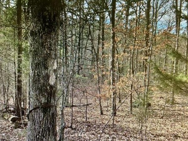 10365 Prices trail, Potosi, MO 63664