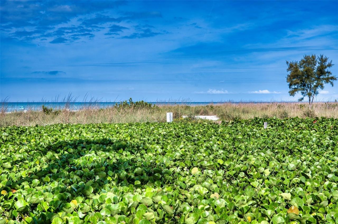 6701 Gulf Of Mexico Drive, Unit 332, Longboat Key, FL 34228 Photo