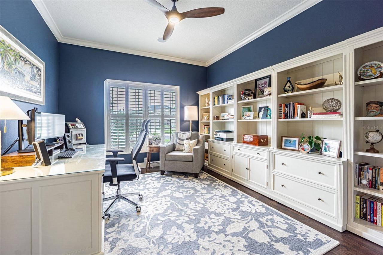 27053 Winged Elm Drive, Wesley Chapel, FL 33544 Photo