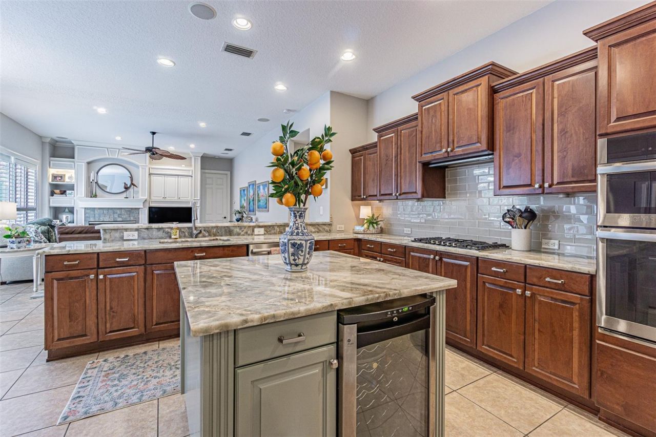 27053 Winged Elm Drive, Wesley Chapel, FL 33544 Photo