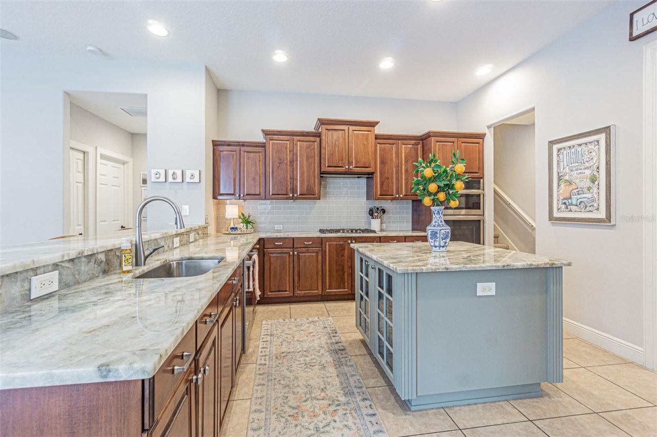 27053 Winged Elm Drive, Wesley Chapel, FL 33544 Photo