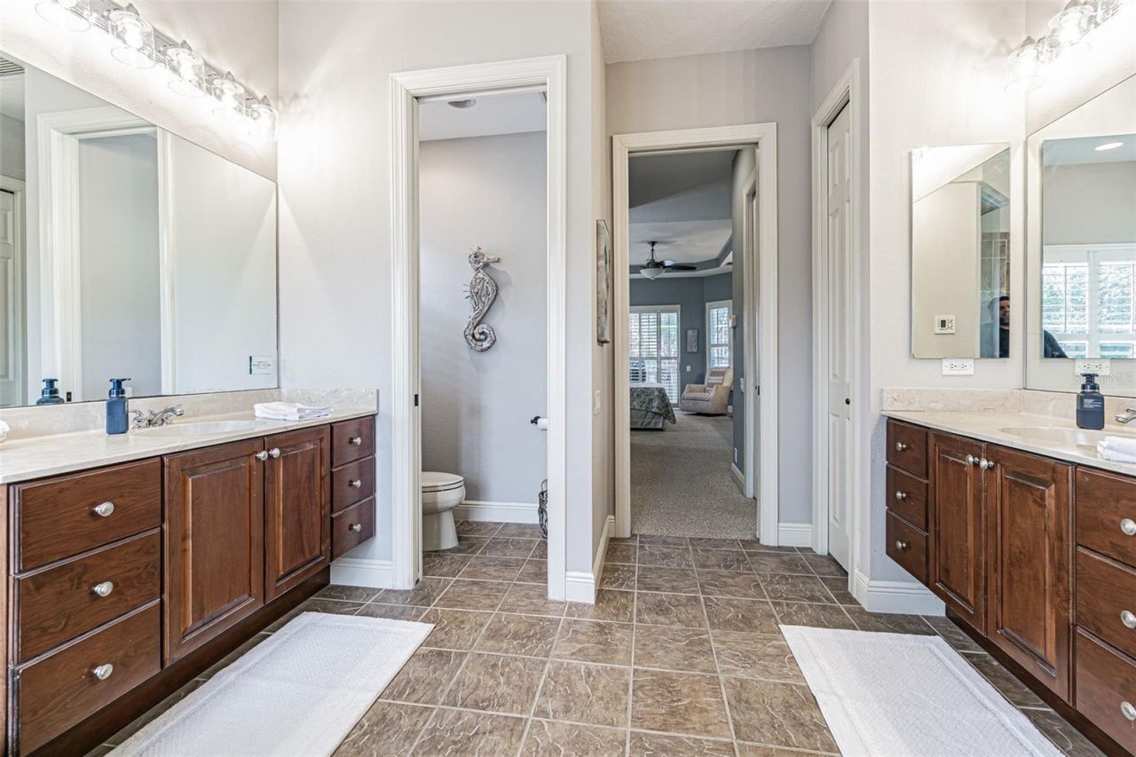 27053 Winged Elm Drive, Wesley Chapel, FL 33544 Photo