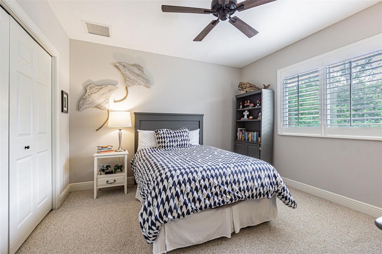 27053 Winged Elm Drive, Wesley Chapel, FL 33544 Photo