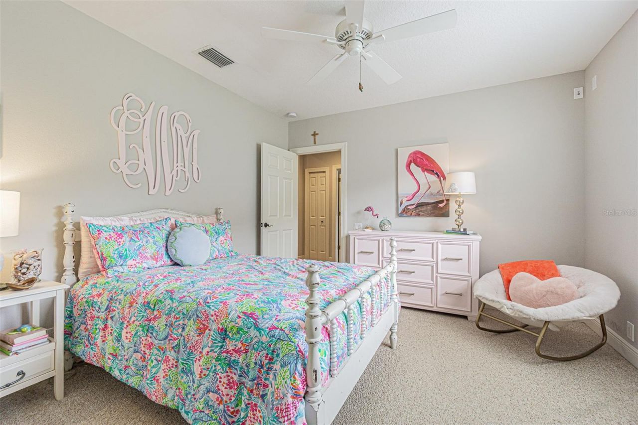 27053 Winged Elm Drive, Wesley Chapel, FL 33544 Photo