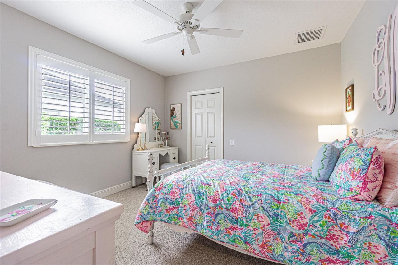 27053 Winged Elm Drive, Wesley Chapel, FL 33544 Photo