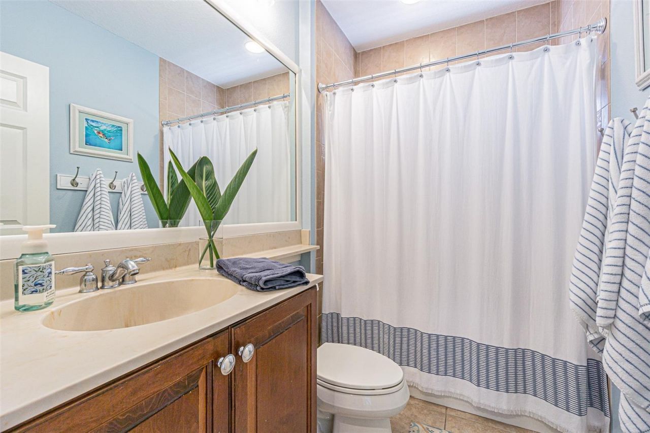 27053 Winged Elm Drive, Wesley Chapel, FL 33544 Photo