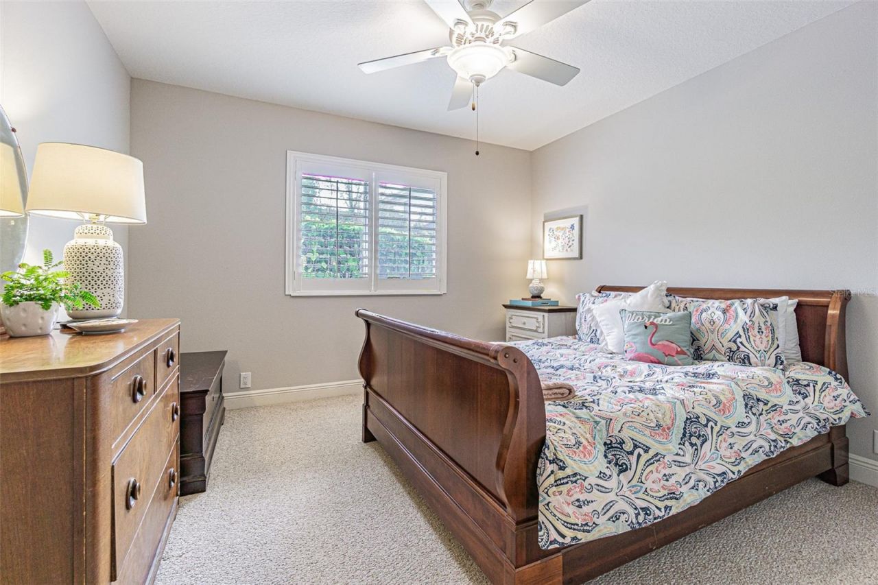 27053 Winged Elm Drive, Wesley Chapel, FL 33544 Photo