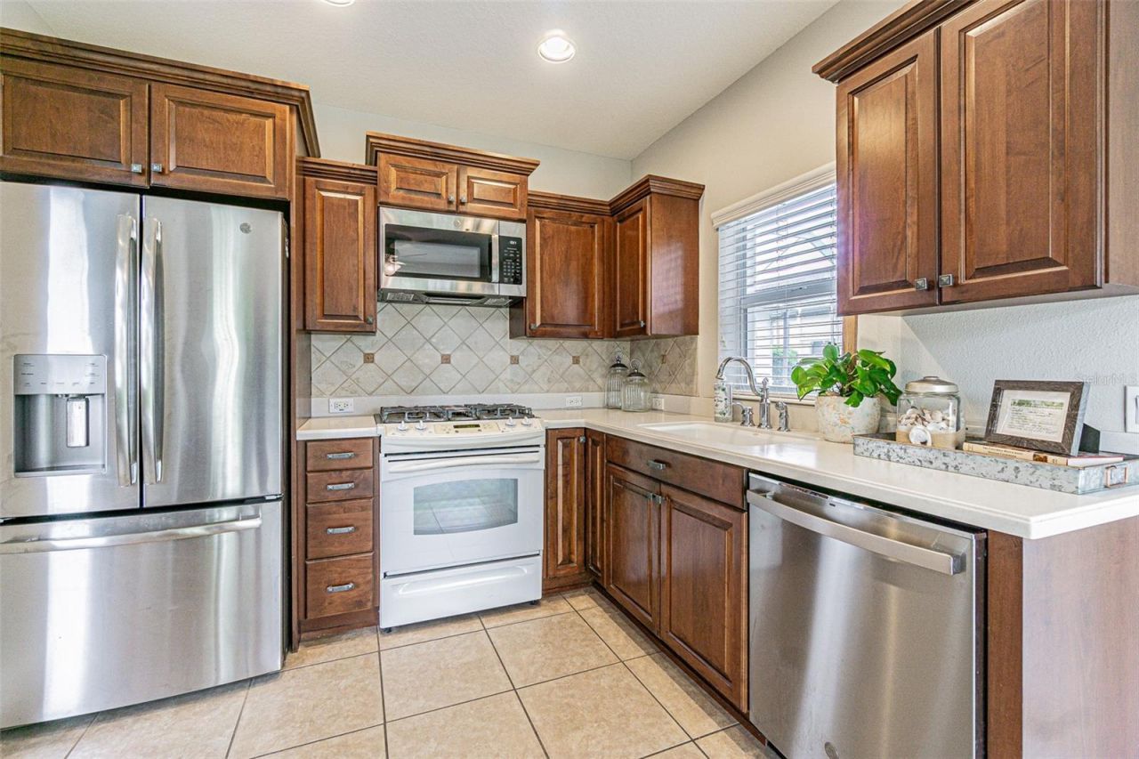 27053 Winged Elm Drive, Wesley Chapel, FL 33544 Photo