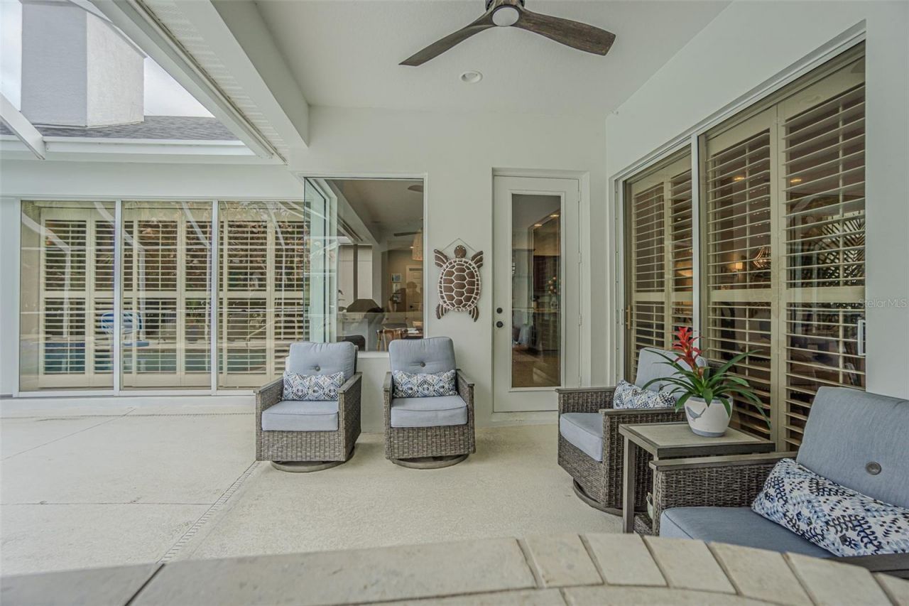 27053 Winged Elm Drive, Wesley Chapel, FL 33544 Photo