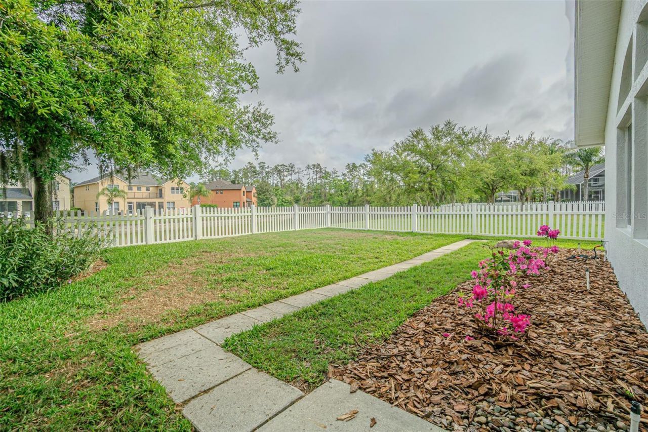 27053 Winged Elm Drive, Wesley Chapel, FL 33544 Photo