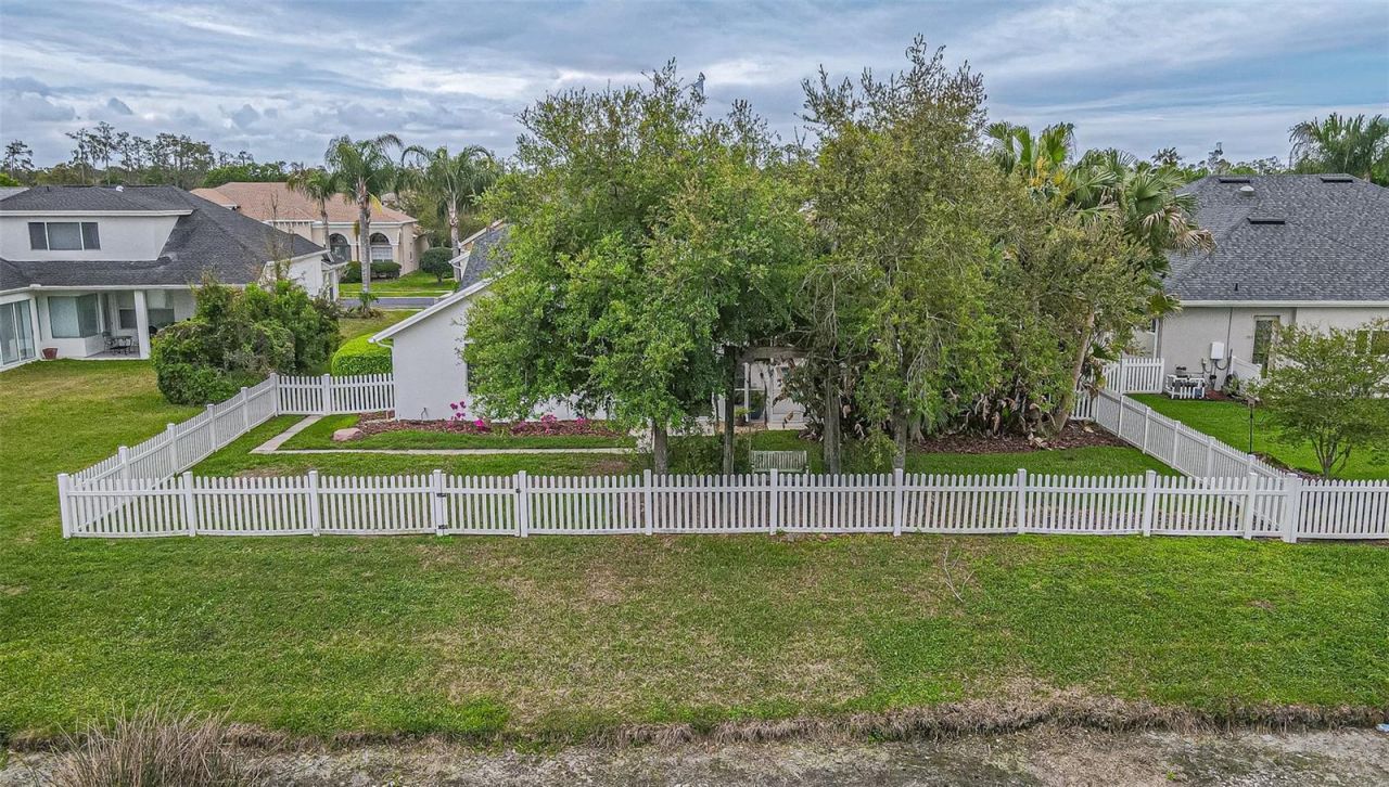 27053 Winged Elm Drive, Wesley Chapel, FL 33544 Photo