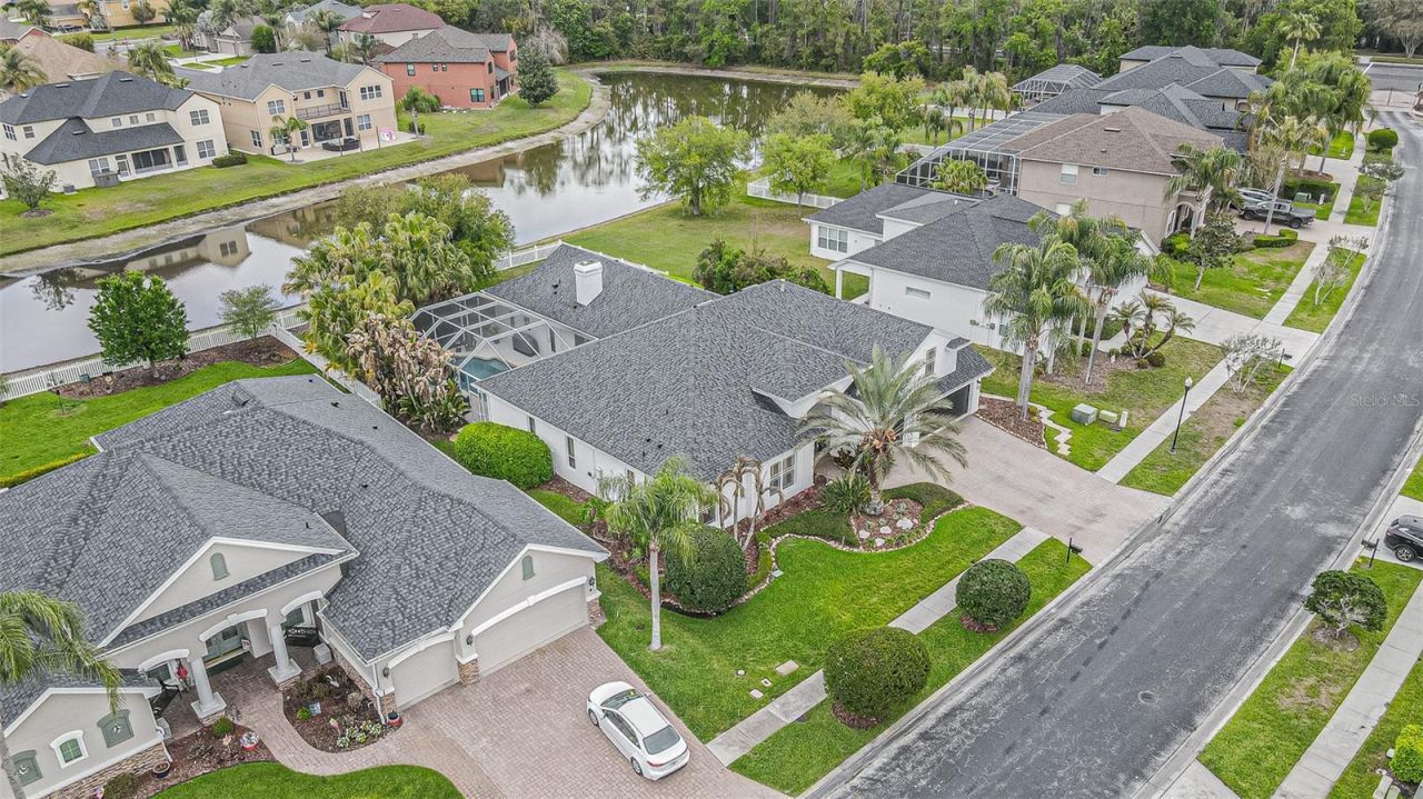 27053 Winged Elm Drive, Wesley Chapel, FL 33544 Photo