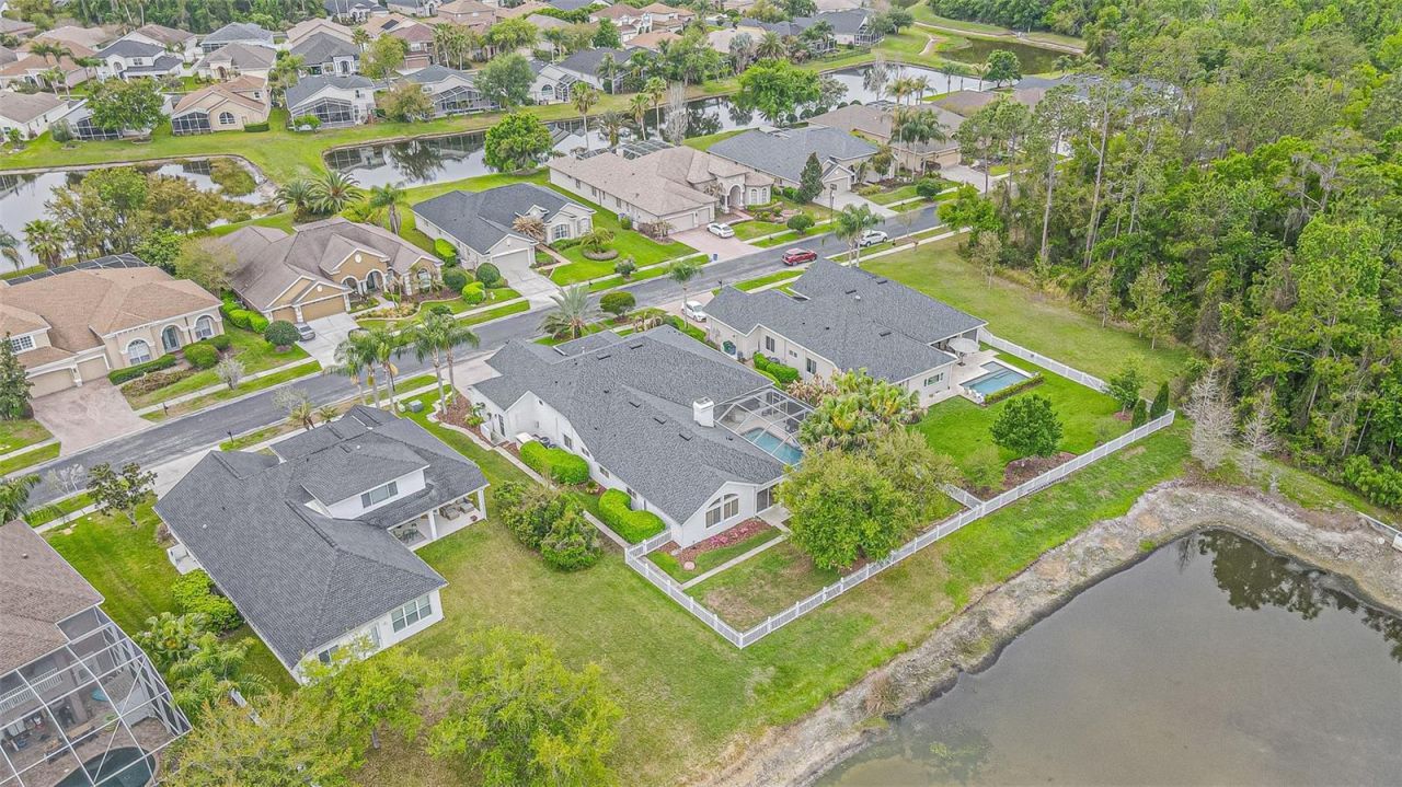 27053 Winged Elm Drive, Wesley Chapel, FL 33544 Photo