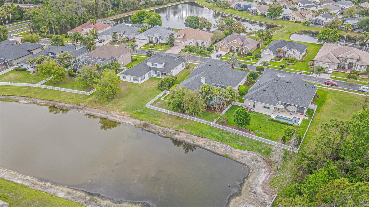 27053 Winged Elm Drive, Wesley Chapel, FL 33544 Photo