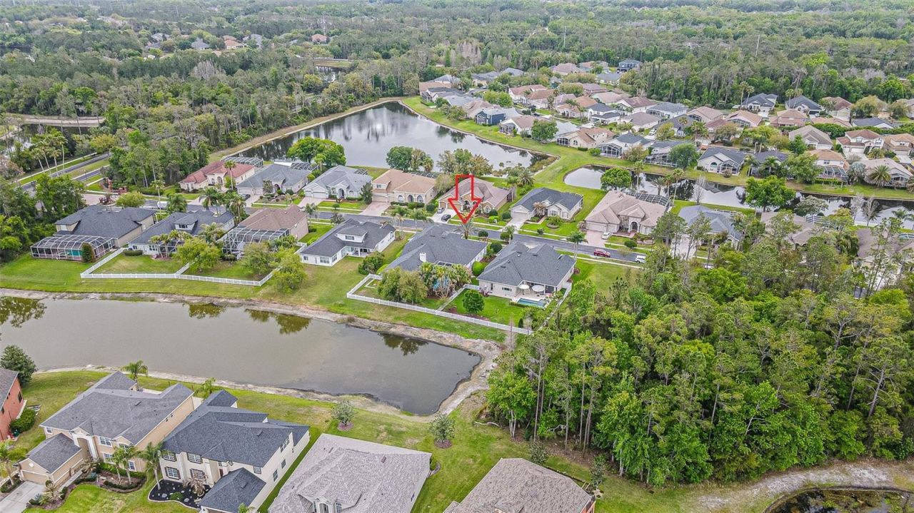 27053 Winged Elm Drive, Wesley Chapel, FL 33544 Photo