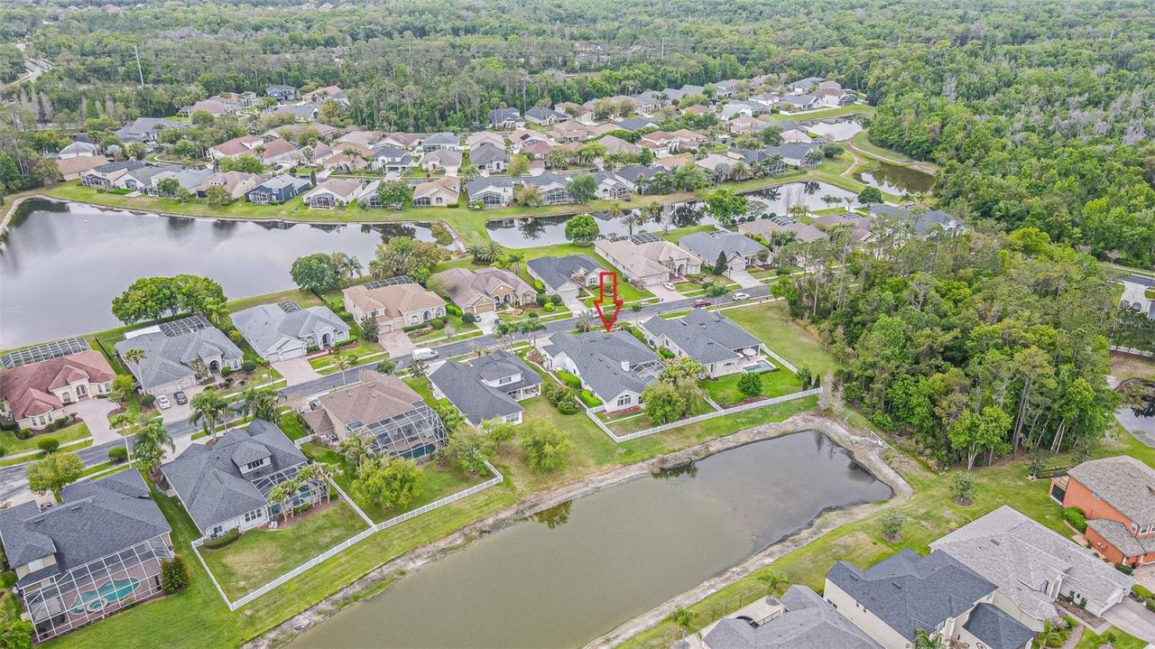 27053 Winged Elm Drive, Wesley Chapel, FL 33544 Photo